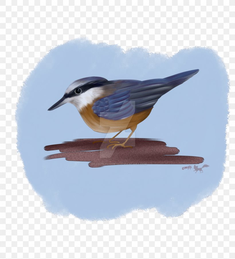 Drawing Bird Nuthatch Animal Sketch, PNG, 1024x1127px, Drawing, Animal, Art, Beak, Bird Download Free