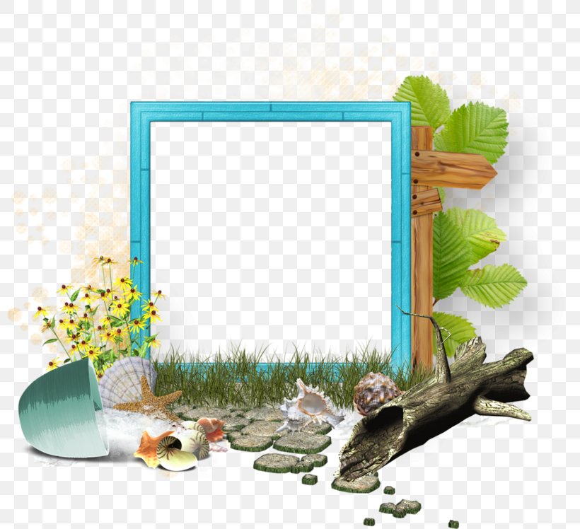 Picture Frames Image Green Color, PNG, 800x748px, Picture Frames, Blue, Bluegreen, Color, Fauna Download Free