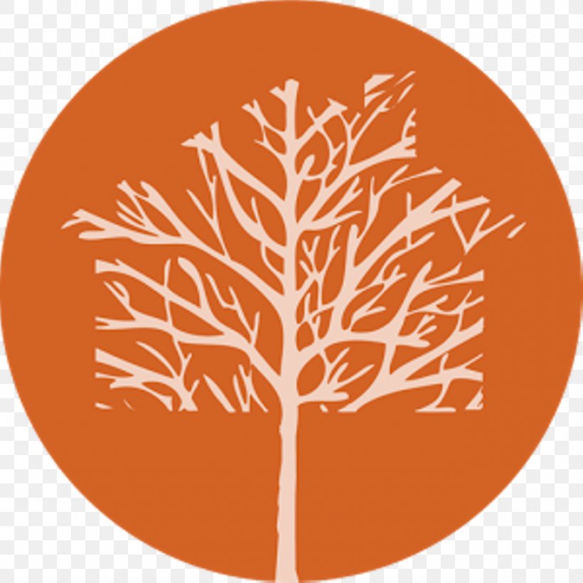 Professional Tree Surgeons Creative Co-Op, Inc. Horticulture Arborist, PNG, 1280x1280px, Tree, Arborist, Branch, Experience, Horticulture Download Free