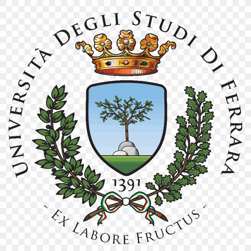 University Of Ferrara University Of Camerino University Of Turin Master's Degree, PNG, 910x910px, University Of Ferrara, Area, Artwork, Branch, Brand Download Free