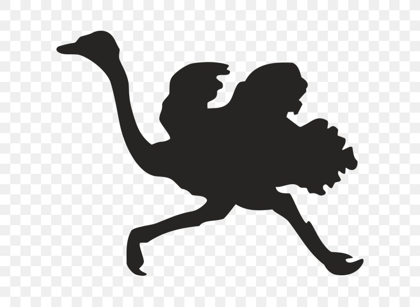 Common Ostrich Clip Art Vector Graphics Image, PNG, 600x600px, Common Ostrich, Bird, Black, Black And White, Drawing Download Free