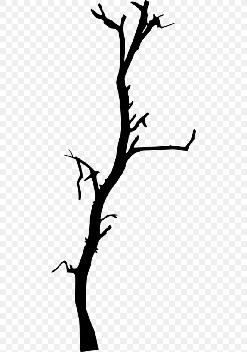 Oak Tree Drawing, PNG, 480x1168px, Silhouette, Blackandwhite, Branch, Drawing, Leaf Download Free