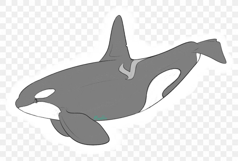 Southern Resident Killer Whales Dolphin Art Cetaceans, PNG, 1280x865px, Killer Whale, Art, Beak, Blog, Book Download Free