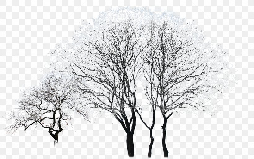 Tree Winter Black And White, PNG, 1180x740px, Tree, Black And White, Branch, Coreldraw, Dwg Download Free