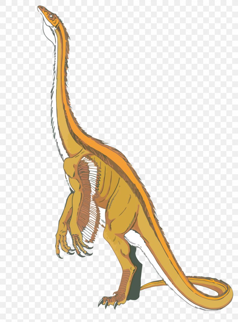 Velociraptor Tyrannosaurus Dinosaur, PNG, 1109x1500px, Velociraptor, Art, Dinosaur, Extinction, Fauna Download Free
