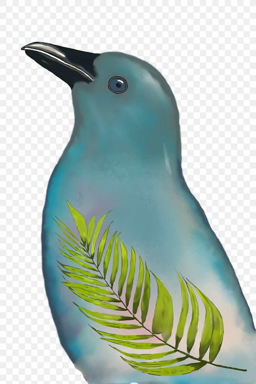 Beak Turquoise, PNG, 960x1440px, Beak, Turquoise Download Free