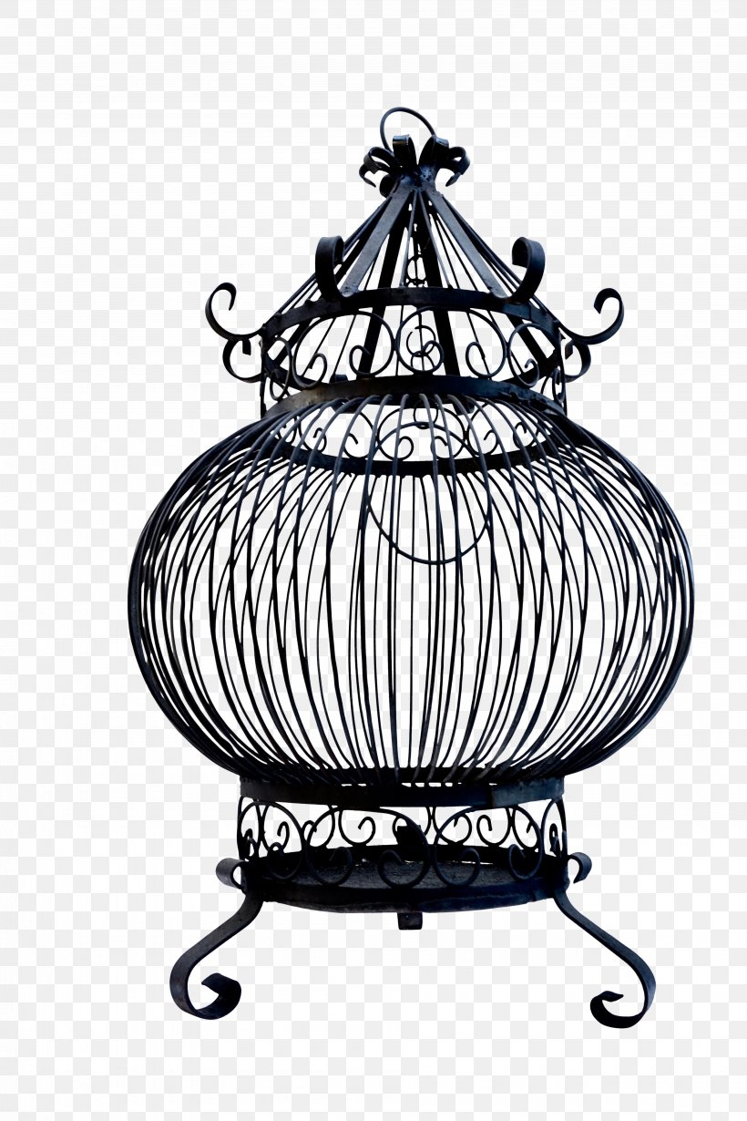 Bird Cage, PNG, 3695x5546px, Iron, Antique, Bird, Birdcage, Cage Download Free