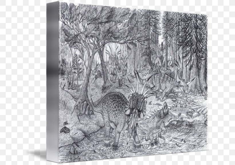 Drawing Styracosaurus Carnivora Gallery Wrap Picture Frames, PNG, 650x574px, Drawing, Art, Artwork, Black And White, Canvas Download Free