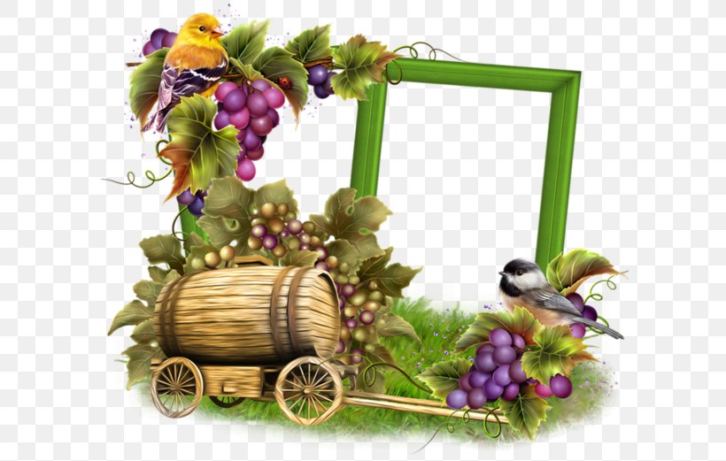 Grape Picture Frames Drawing Clip Art, PNG, 600x521px, Grape, Blog, Craft, Drawing, Food Download Free