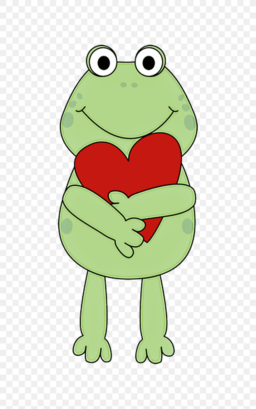 Frog Green True Frog Cartoon Toad, PNG, 735x1310px, Frog, Agalychnis, Bullfrog, Cartoon, Green Download Free
