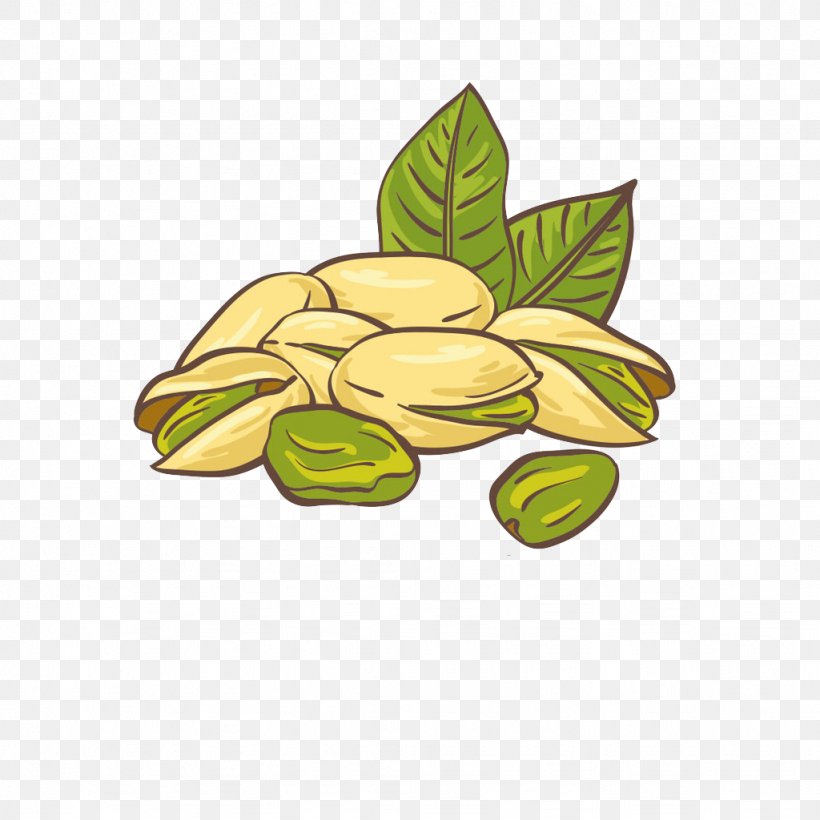 Pistachio Ice Cream Nut Illustration, PNG, 1024x1024px, Pistachio Ice Cream, Cartoon, Dried Fruit, Food, Fruit Download Free