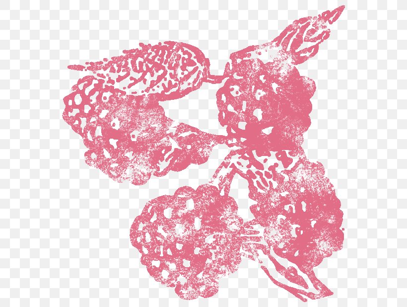 Raspberry Visual Arts Fruit Illustration Pattern, PNG, 590x618px, Raspberry, Branch, Email, Facebook, Facebook Inc Download Free