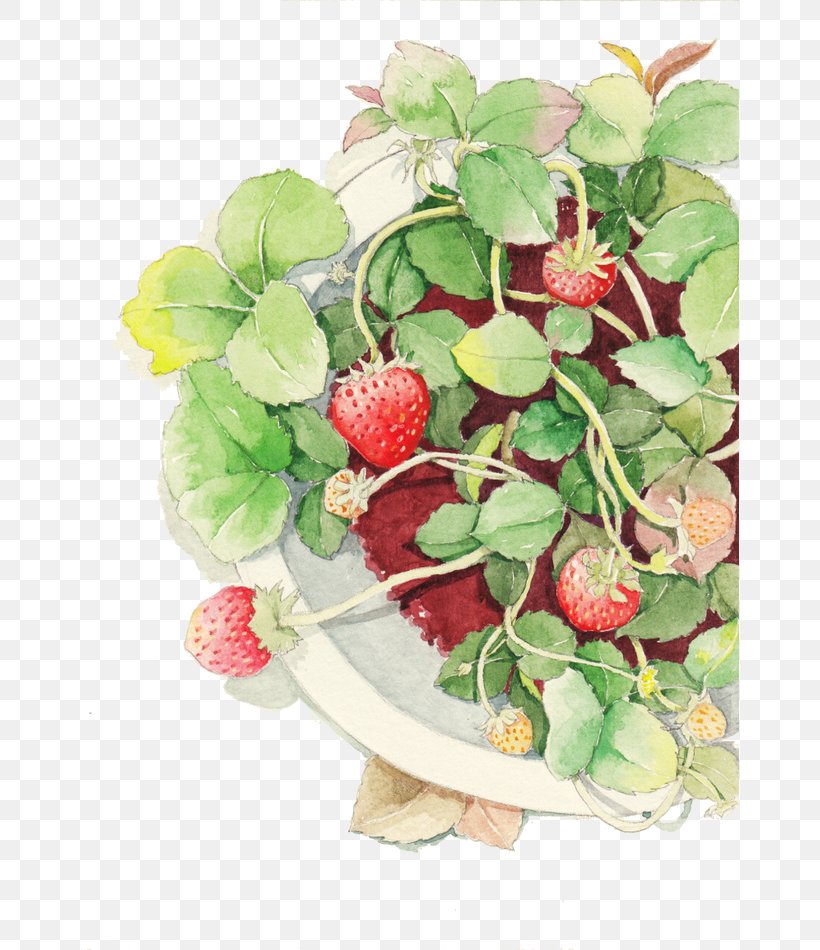 Strawberry Watercolor Painting Techniques Aedmaasikas, PNG, 658x950px, Strawberry, Aedmaasikas, Art, Auglis, Designer Download Free