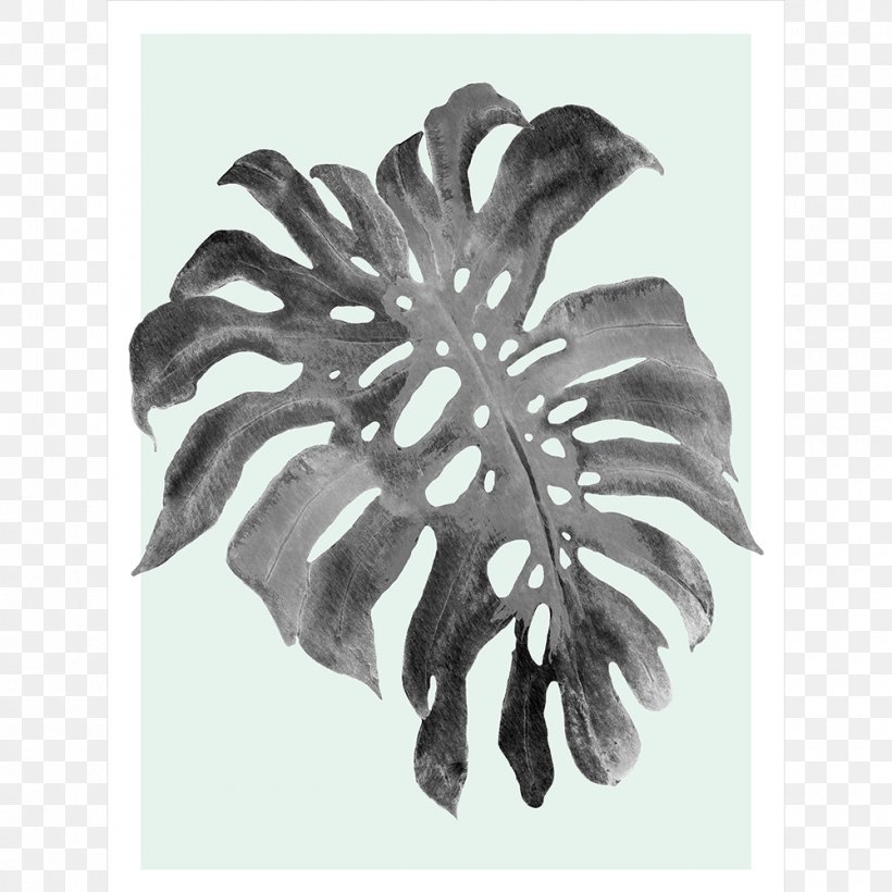 Swiss Cheese Plant Art Canvas Print Philodendron Vine, PNG, 1000x1000px, Swiss Cheese Plant, Art, Black And White, Blue, Canvas Download Free