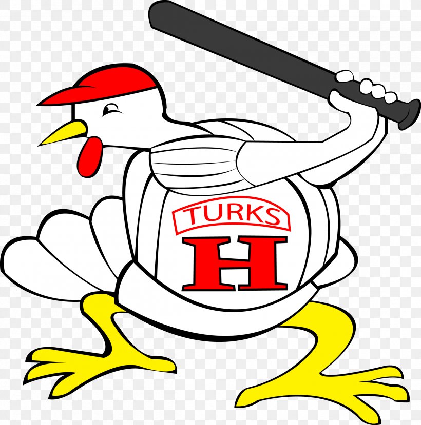 Harrisonburg Turks Valley Baseball League Sport Harris Tire, PNG, 2414x2442px, Baseball, Area, Art, Artwork, Beak Download Free