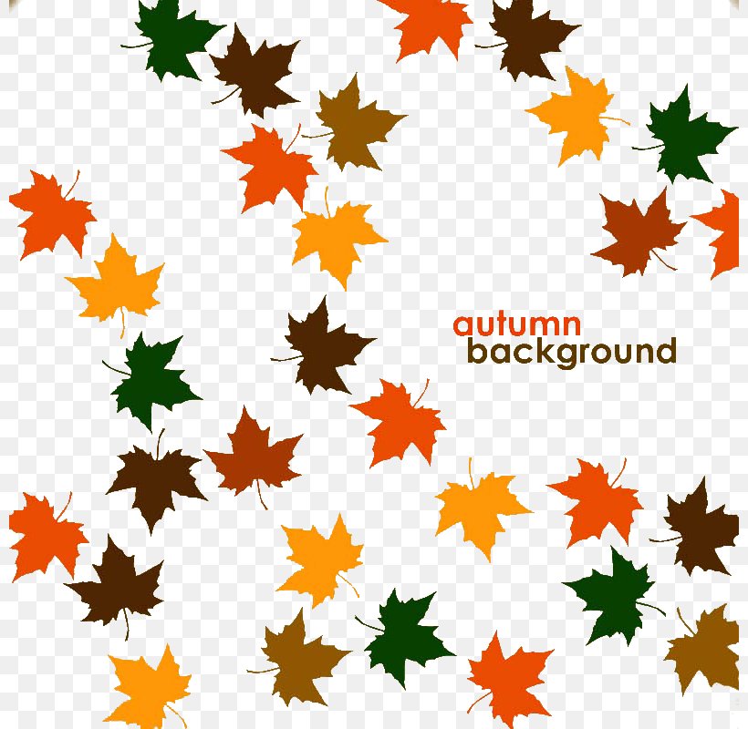 Maple Leaf Autumn Clip Art, PNG, 800x800px, Maple Leaf, Autumn, Flowering Plant, Fundal, Leaf Download Free