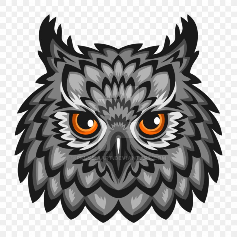 Owl Sports Team Mascot, PNG, 894x894px, Owl, Beak, Bird, Bird Of Prey, Drawing Download Free