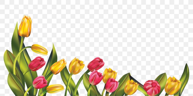 Clip Art Indira Gandhi Memorial Tulip Garden Image, PNG, 800x410px, Tulip, Botany, Bud, Cut Flowers, Floral Design Download Free