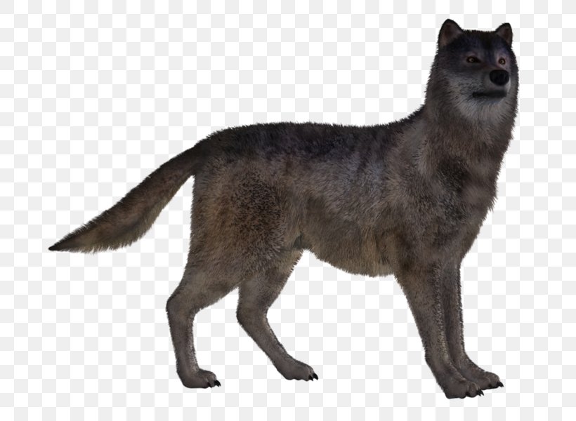Dog Red Fox Canidae, PNG, 757x600px, Dog, Animal, Canidae, Carnivora, Carnivoran Download Free