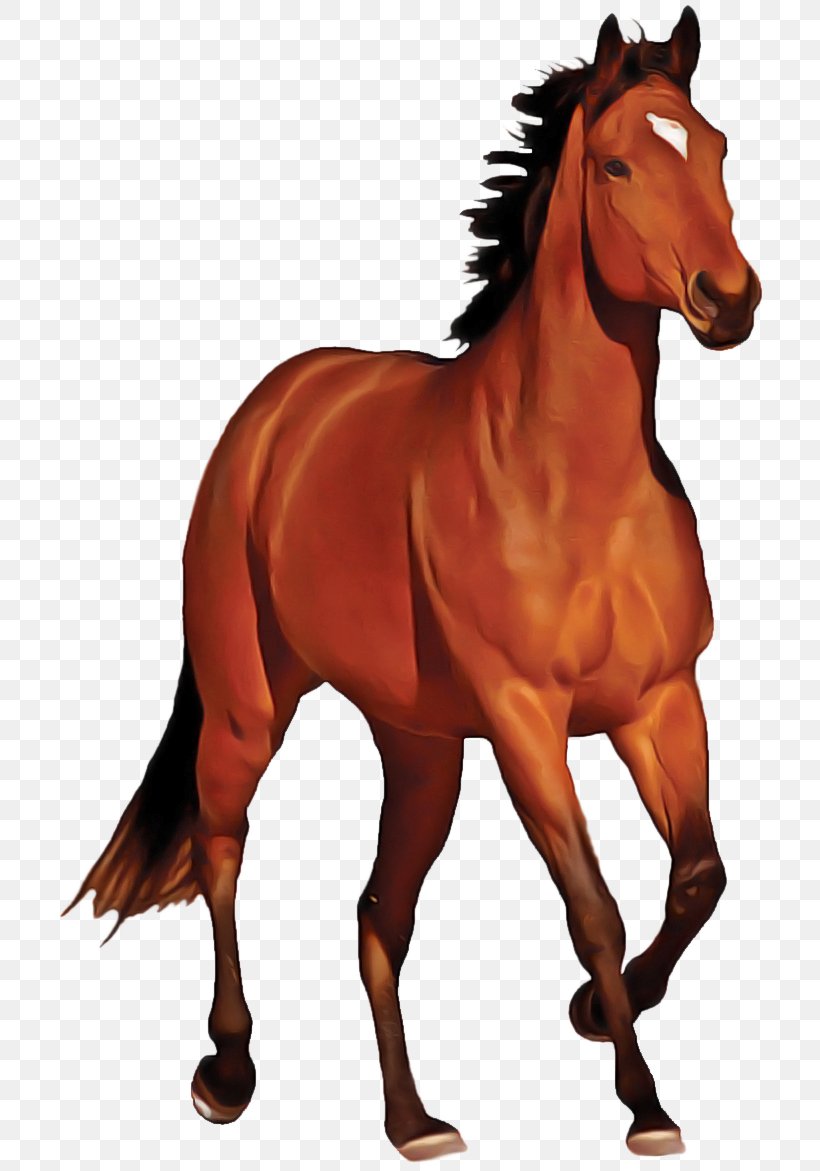 Horse Cartoon, PNG, 720x1171px, American Paint Horse, American Indian Horse, Andalusian Horse, Animal Figure, Arabian Horse Download Free