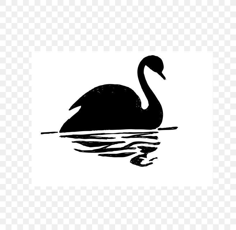 Black Swan Drawing Clip Art, PNG, 800x800px, Black Swan, Beak, Bird, Black And White, Cygnini Download Free