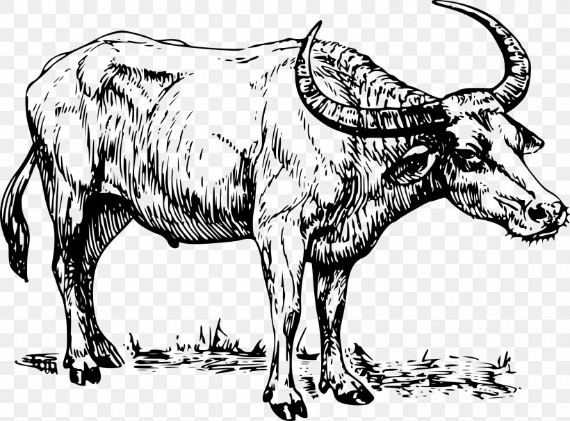 Water Buffalo Drawing Clip Art, PNG, 2400x1776px, Buffalo, American Bison, Animal Figure, Art, Black And White Download Free