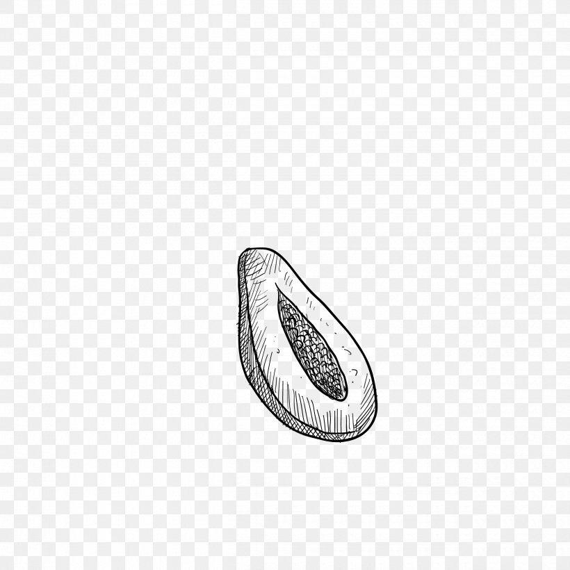 Cantaloupe Papaya Fruit, PNG, 2500x2500px, Cantaloupe, Auglis, Black And White, Drawing, Dried Fruit Download Free