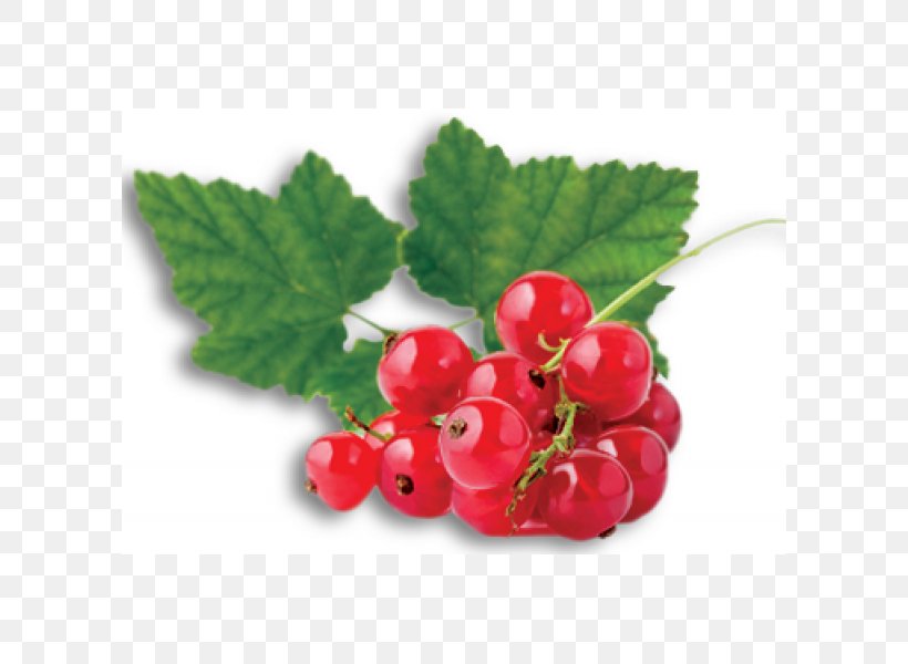 Lekvar Redcurrant Fruit Berry Gelatin Dessert, PNG, 600x600px, Lekvar, Amorodo, Berry, Bilberry, Blackberry Download Free