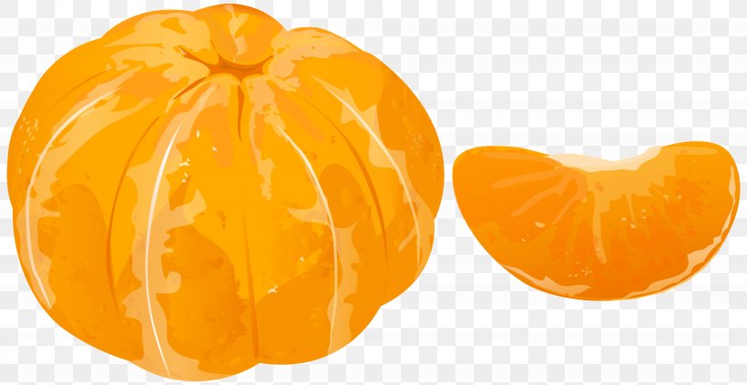 Tangerine Mandarin Orange Clip Art, PNG, 8000x4135px, Tangerine, Calabaza, Citrus, Cucurbita, Food Download Free