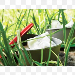 Container - Container Mug Spoon Spork Eating PNG