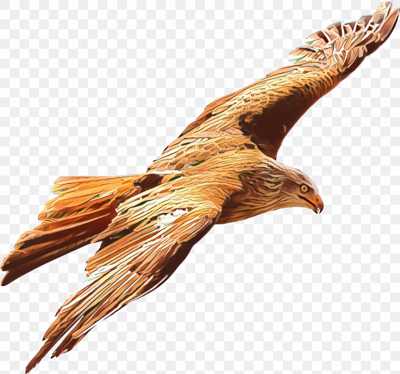 Golden Eagle Bird Eagle Bird Of Prey Kite, PNG, 2400x2246px, Cartoon, Accipitridae, Bird, Bird Of Prey, Eagle Download Free