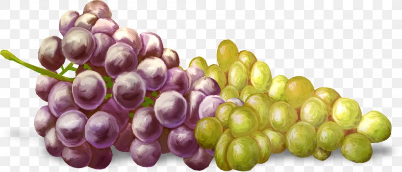 Kyoho Grape Fruit, PNG, 999x430px, Kyoho, Designer, Drawing, Food, Fruit Download Free