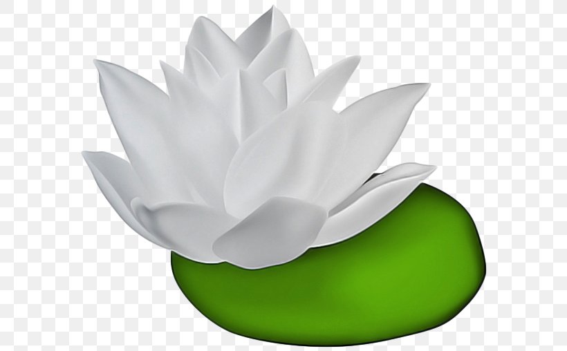 Lotus, PNG, 600x508px, White, Aquatic Plant, Green, Leaf, Lotus Download Free