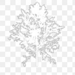 Tree Collection - Twig White Line Art Leaf PNG