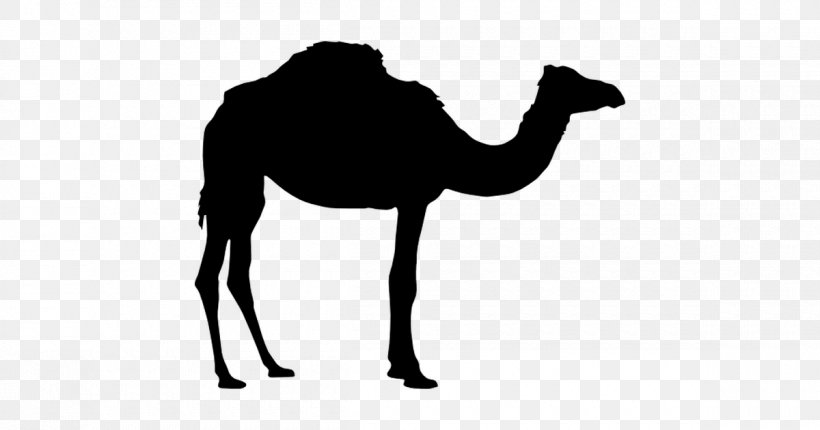 Dromedary Bactrian Camel Silhouette Clip Art, PNG, 1200x630px, Dromedary, Arabian Camel, Bactrian Camel, Black And White, Camel Download Free