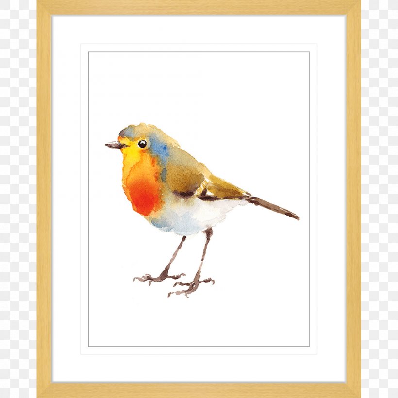 European Robin Bird Watercolor Painting Drawing, PNG, 1000x1000px, European Robin, Art, Artist, Beak, Bird Download Free