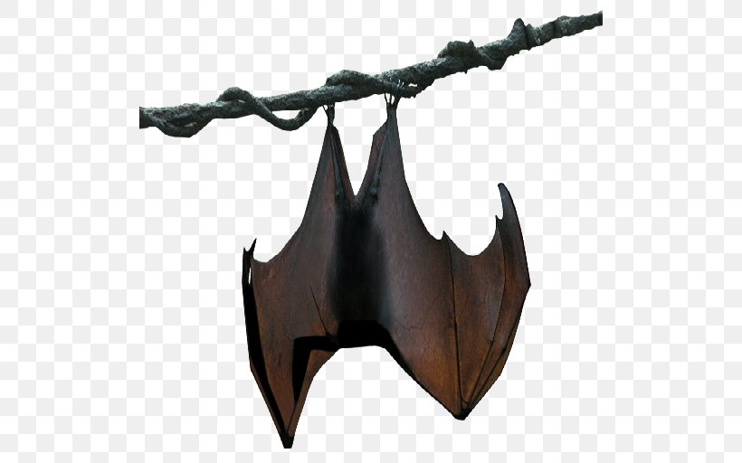 Franquet's Epauletted Fruit Bat Buettikofer's Epauletted Fruit Bat Megabat, PNG, 512x512px, Bat, Animal, Big Brown Bat, Hanging Bat, Megabat Download Free