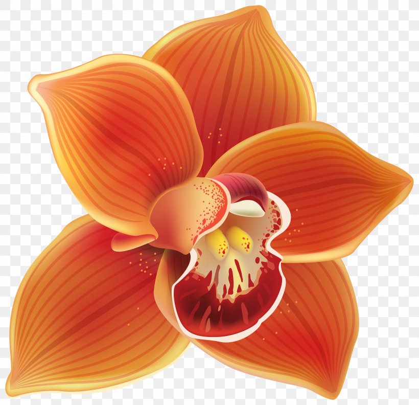 How To Grow Orchids Orange Flower Clip Art, PNG, 3000x2899px, Orchids, Boat Orchid, Cattleya, Cattleya Orchids, Color Download Free