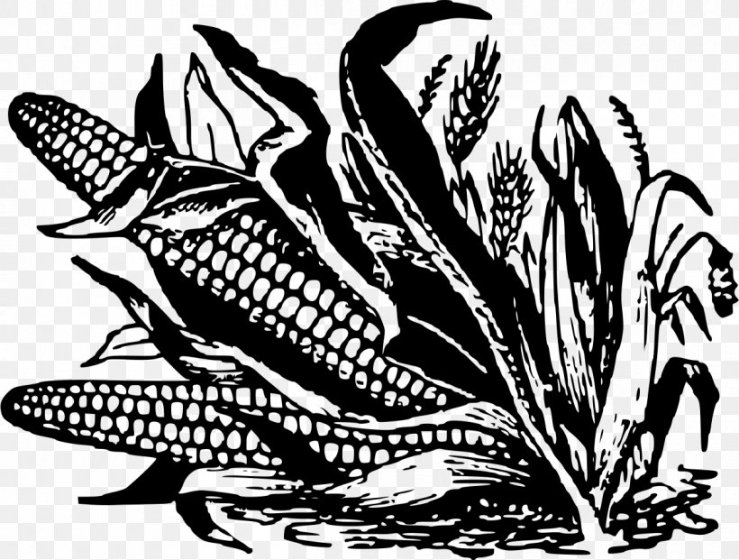 Corn On The Cob Maize Black And White Corn Fritter Clip Art, PNG, 1200x909px, Corn On The Cob, Art, Black And White, Commodity, Corn Fritter Download Free