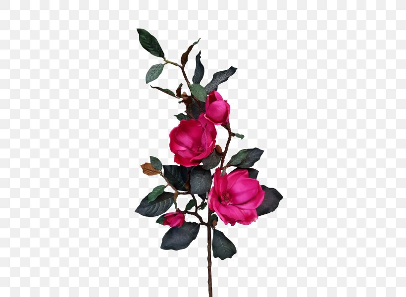 Cut Flowers Garden Roses Plant, PNG, 800x600px, Flower, Artificial Flower, Branch, Cut Flowers, Flora Download Free