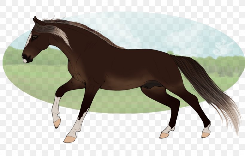 Foal Mane Horse Stallion Pony, PNG, 1024x651px, Foal, Bridle, Colt, English Riding, Equestrian Download Free