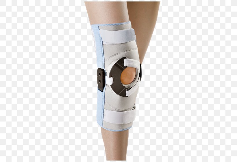 Knee Patellar Dislocation Splint Patellofemoral Pain Syndrome, PNG, 550x560px, Watercolor, Cartoon, Flower, Frame, Heart Download Free