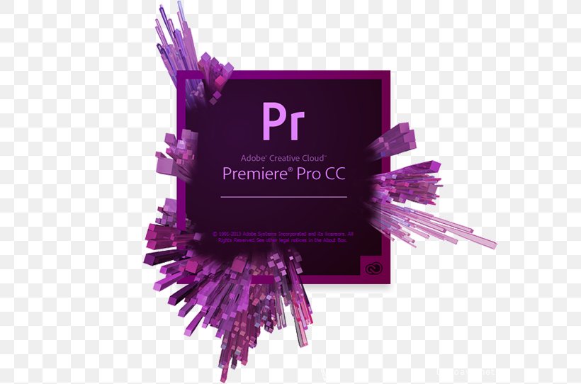 Adobe Premiere Pro Adobe Systems Video Editing Adobe Creative Cloud Software Cracking, PNG, 600x542px, Adobe Premiere Pro, Adobe Acrobat, Adobe Creative Cloud, Adobe Photoshop Elements, Adobe Systems Download Free