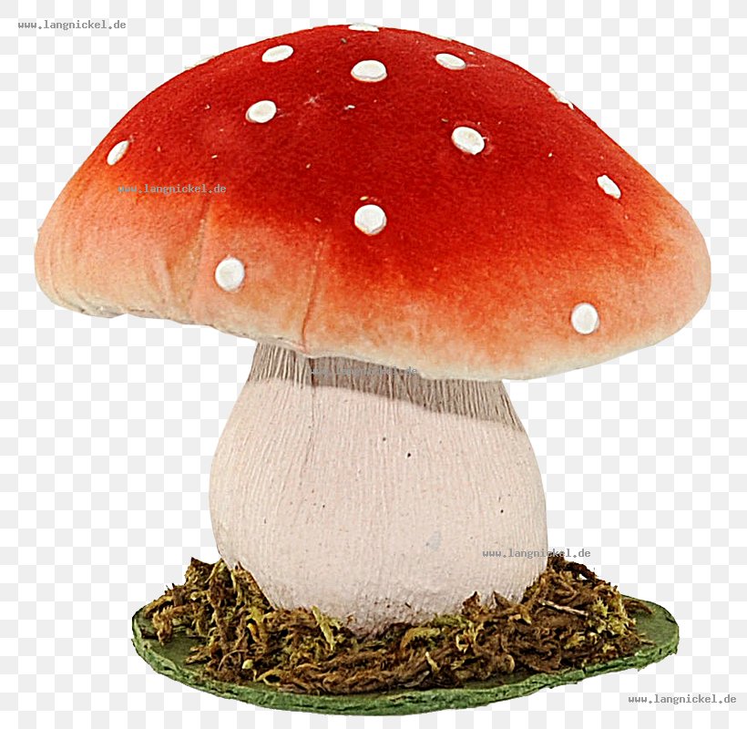Amanita Muscaria Fungus Edible Mushroom Ausführungen Orange, PNG, 800x800px, Amanita Muscaria, Agaric, Agaricomycetes, Autumn, Centimeter Download Free