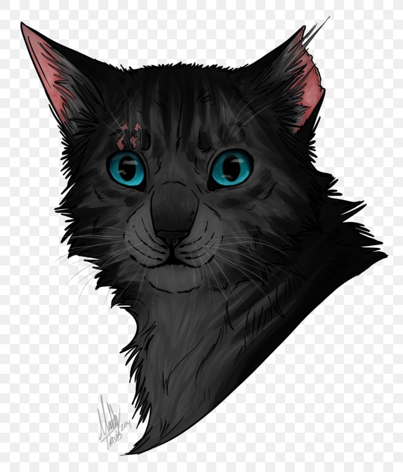 Black Cat Korat Kitten Whiskers Domestic Short-haired Cat, PNG, 1024x1200px, Black Cat, Carnivoran, Cat, Cat Like Mammal, Claw Download Free