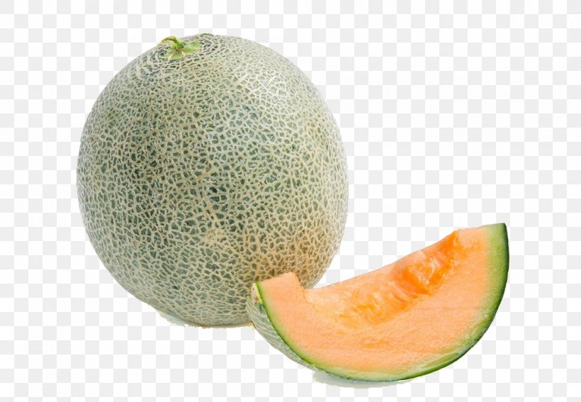 Cantaloupe Hami Melon Honeydew, PNG, 1005x695px, Cantaloupe, Banco De Imagens, Can Stock Photo, Cucumber Gourd And Melon Family, Dried Fruit Download Free