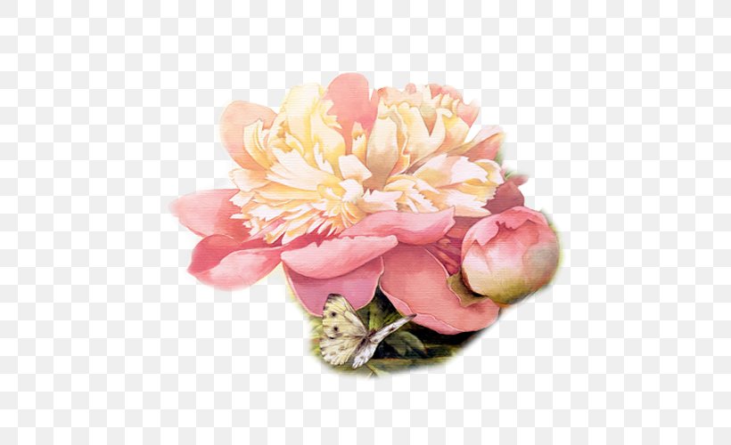 Chrysanthemum Tea Flower Bouquet Garden Roses, PNG, 500x500px, Chrysanthemum Tea, Animation, Artificial Flower, Auglis, Birthday Download Free