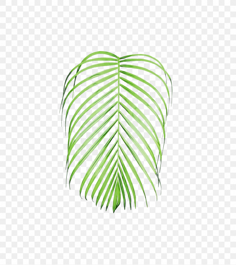 Leaf Green M-tree Line Meter, PNG, 1282x1440px, Watercolor, Biology, Green, Leaf, Line Download Free