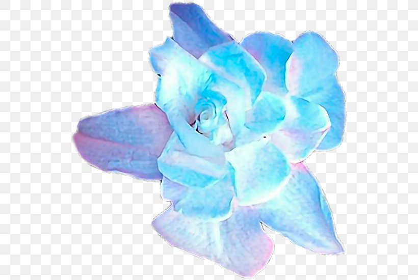 Love Yourself: Her BTS Flower Love Yourself: Tear Emerald, PNG, 546x550px, Love Yourself Her, Blue, Bts, Cut Flowers, Emerald Download Free