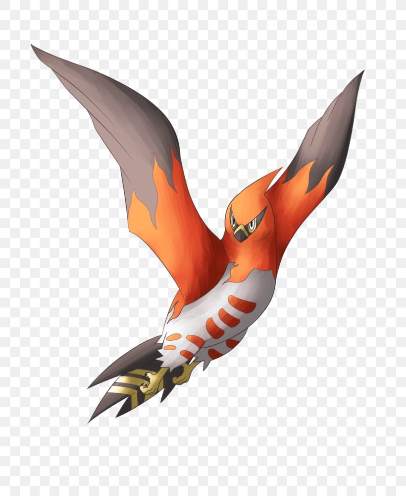 Pokémon X And Y Image Evolution Evolucija Pokémona, PNG, 800x1000px, Pokemon, Beak, Bird, Eagle, Evolution Download Free
